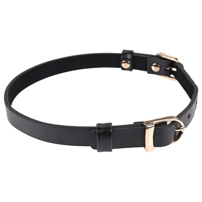 Sex & Mischief Double Buckle Day Collar - Black Collar