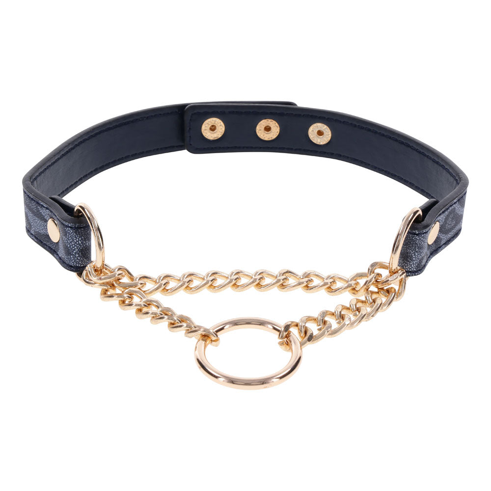 Sex & Mischief Cougar Day Collar - Navy Blue/Gold Collar